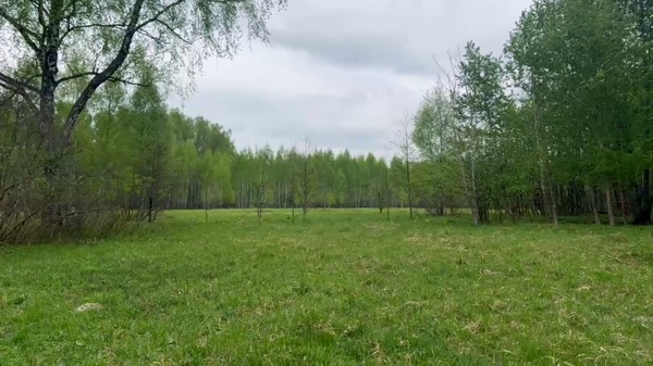 Продам землю для коммерческого использования 245 соток, Фермерское хоз., Новики д