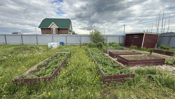 Продам дачу, Лужки СХ2 тер, Филипповское д, 0 км от города