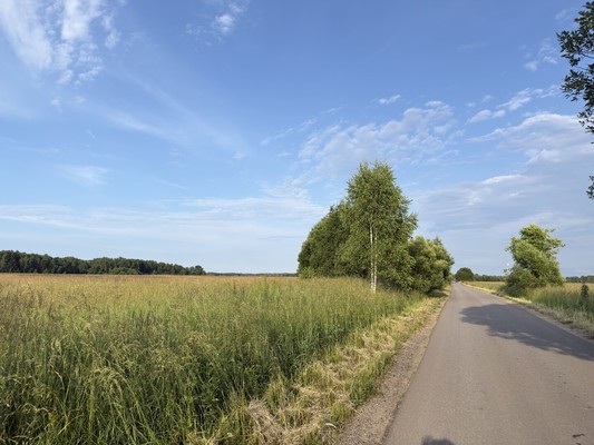 Продам участок 20 соток, ИЖС, Васино д, 0 км от города