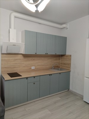 Продам однокомнатную (1-комн.) квартиру, Авиаконструкторов пр-кт, 61, Санкт-Петербург г