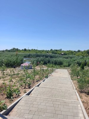 Продам дом, Казачья ул, 11, Камышевская ст-ца, 0 км от города