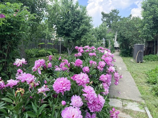 Продам дом, Мира ул, 60, Подольск г, 0 км от города