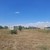 Продам участок 6 соток, ИЖС, Дальний пер, 24, Волгодонск г, 0 км от города