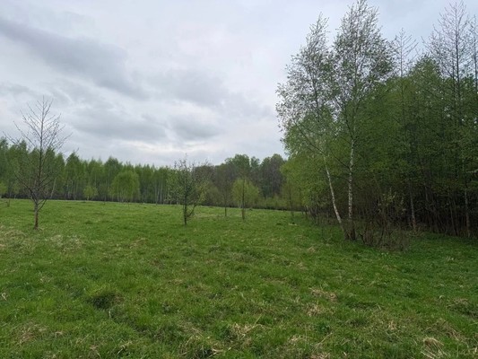 Продам землю для коммерческого использования 245 соток, Фермерское хоз., Новики д