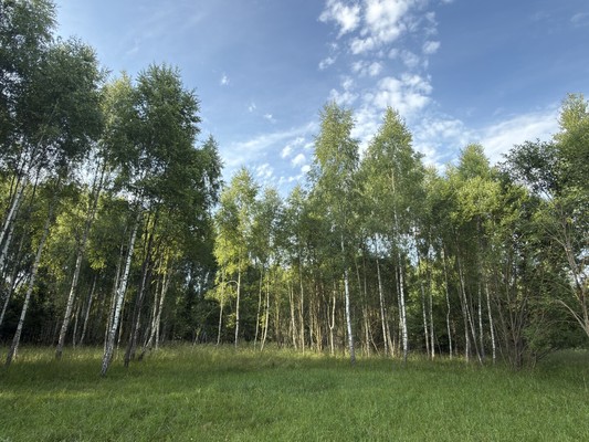 Продам участок 20 соток, ИЖС, Васино д, 0 км от города