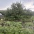 Продам дачу, Космонавтов пр-кт, 63, Барнаул г, 0 км от города