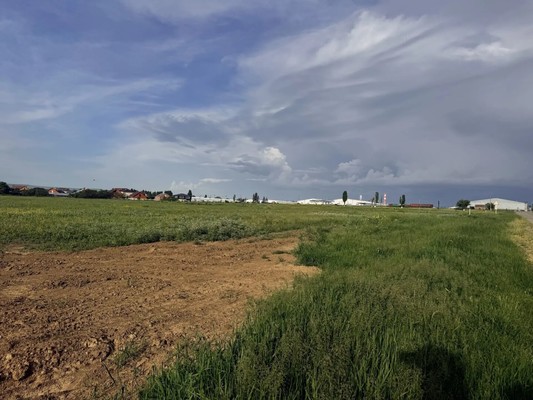 Продам участок 19,8 соток, ИЖС, СХТ ул, Коноково с, 0 км от города