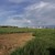 Продам участок 19,8 соток, ИЖС, СХТ ул, Коноково с, 0 км от города