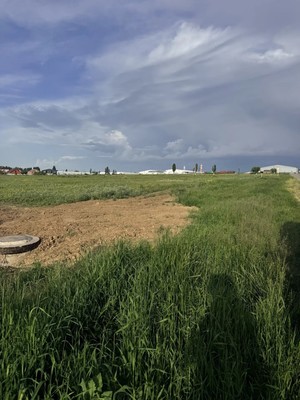 Продам участок 19,8 соток, ИЖС, СХТ ул, Коноково с, 0 км от города