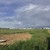 Продам участок 19,8 соток, ИЖС, СХТ ул, Коноково с, 0 км от города