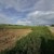 Продам участок 19,8 соток, ИЖС, СХТ ул, Коноково с, 0 км от города