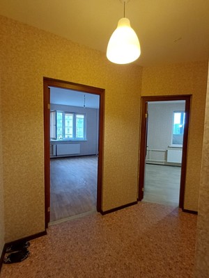 Продам однокомнатную (1-комн.) квартиру, Богатырский пр-кт, 48к1, Санкт-Петербург г