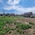 Продам участок 6 соток, ИЖС, Ахметова ул, Кенже с, 0 км от города