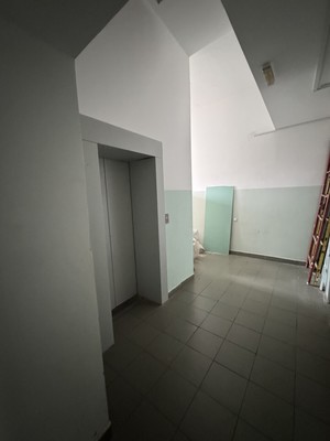 Продам однокомнатную (1-комн.) квартиру, Колхозная ул, 55к4, Услонь д