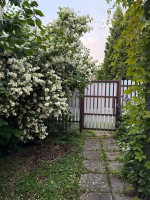 Продам дачу, Истринская ул, 92, Рождествено д, 0 км от города