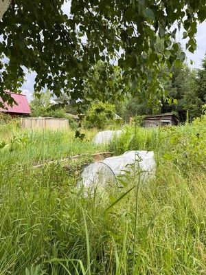 Продам дачу, Коллективный сад N10 СНТ ОАО КМПО тер, Казань г, 0 км от города