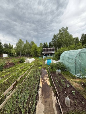 Продам дачу, Коллективный сад N10 СНТ ОАО КМПО тер, 263, Казань г, 0 км от города