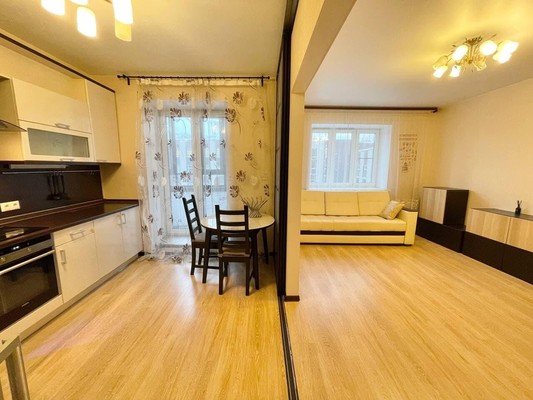 Продам однокомнатную (1-комн.) квартиру, Фермское ш, 20ак2, Санкт-Петербург г