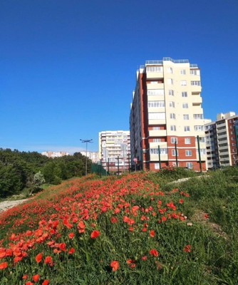 Продам однокомнатную (1-комн.) квартиру, Балаклавская ул, 73д, Симферополь г
