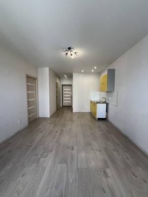 Продам однокомнатную (1-комн.) квартиру, Антонова ул, 5П, Пенза г