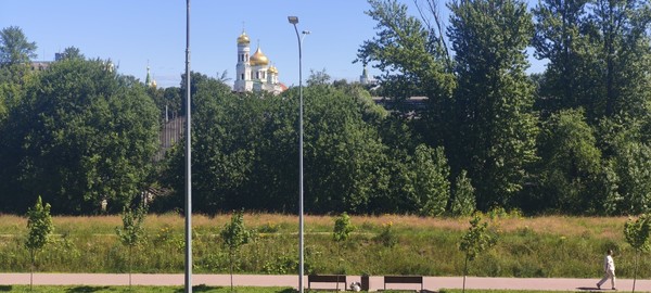 Продам однокомнатную (1-комн.) квартиру, Парфёновская ул, 11к1, Санкт-Петербург г