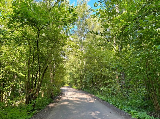 Продам дом, Школьная ул, Чепелево д, 0 км от города