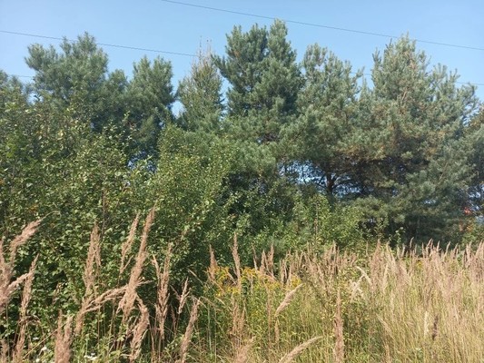 Продам участок 7 соток, Садоводство, Солнечная ул, Коньково д, 0 км от города