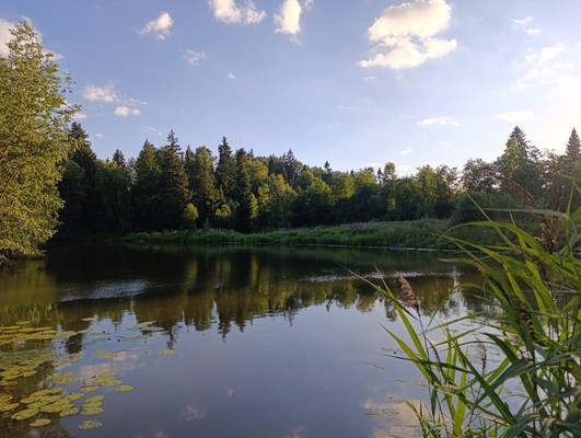 Продам дом, Вельские дали снт, 53, Тарбеево д, 0 км от города
