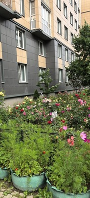 Сдам двухкомнатную (2-комн.) квартиру, Колпинское (Славянка тер.) ш, 34к3, Шушары п