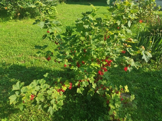 Продам дом, Советская ул, 68б, Загорново с, 0 км от города