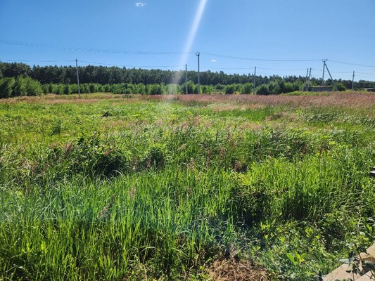 Продам участок 5,59 соток, Фермерское хоз., Степаньково д, 0 км от города