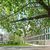 Сдам коммерческое помещение 1 284 м2, Серебряническая наб, 19, Москва г