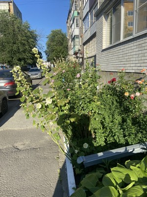 Продам однокомнатную (1-комн.) квартиру, Жлобинский пер, 17, Ростов-на-Дону г