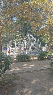Продам двухкомнатную (2-комн.) квартиру, Гагарина (Центральный р-н) ул, 32, Сочи г