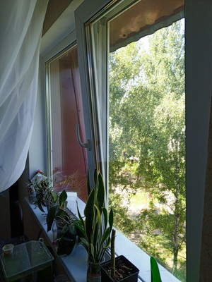 Продам двухкомнатную (2-комн.) квартиру, Прохорова ул, 24, Йошкар-Ола г