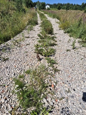 Продам участок 1 соток, Фермерское хоз., Васьково д, 0 км от города