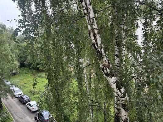 Продам трехкомнатную (3-комн.) квартиру, Народовольческая ул, 36, Пермь г