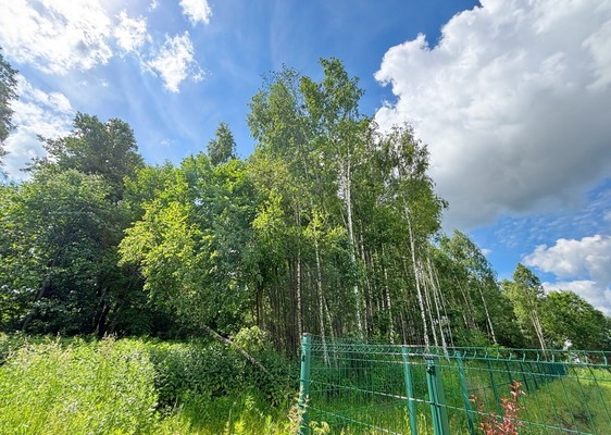 Продам участок 22 соток, ИЖС, Васькино д, 0 км от города
