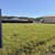 Продам участок 6 соток, Садоводство, СНТ Автодорожник тер, Гавшино д, 0 км от города