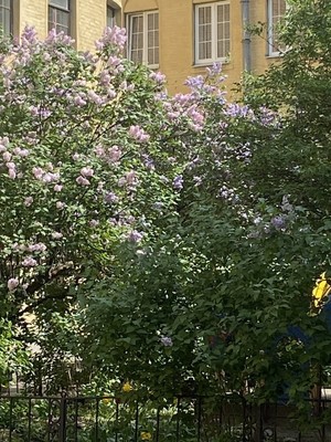 Продам двухкомнатную (2-комн.) квартиру, Моховая ул, 32А, Санкт-Петербург г