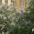 Продам двухкомнатную (2-комн.) квартиру, Моховая ул, 32А, Санкт-Петербург г