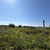 Продам участок 12 соток, ИЖС, Луговское п, 0 км от города