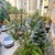 Продам трехкомнатную (3-комн.) квартиру, Балаклавская ул, 47а, Симферополь г