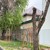 Продам двухкомнатную (2-комн.) квартиру, Пачева ул, 19, Нальчик г