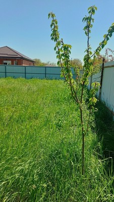 Продам участок 5 соток, ИЖС, 129А/3, Примаки с, 0 км от города