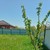 Продам участок 5 соток, ИЖС, 129А/3, Примаки с, 0 км от города