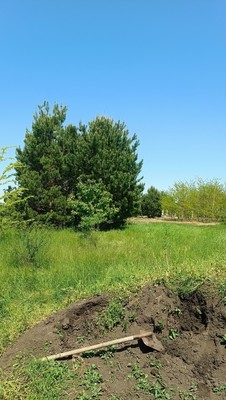 Продам участок 5 соток, ИЖС, 129А/3, Примаки с, 0 км от города