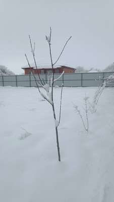 Продам участок 5 соток, ИЖС, 129А/3, Примаки с, 0 км от города