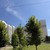 Продам трехкомнатную (3-комн.) квартиру, Земская ул, 21, Чехов г