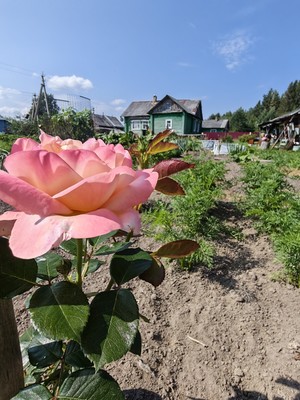 Продам дом, Куратова ул, Нювчим п, 0 км от города